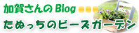 加賀さんのblogへ